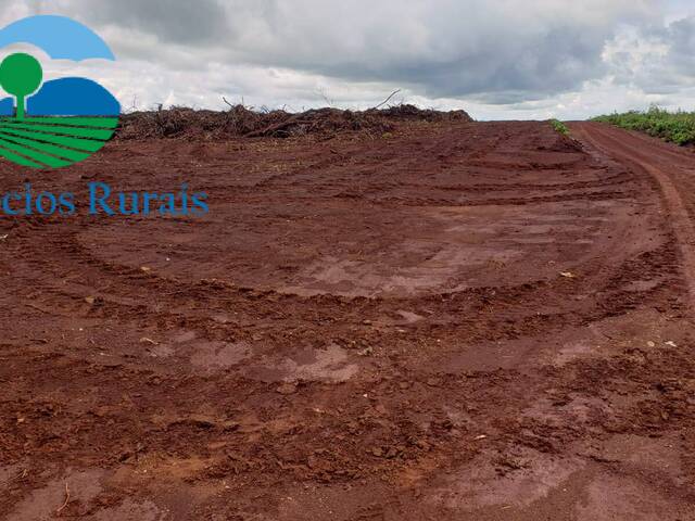 Fazenda para Venda em Niquelândia - 3