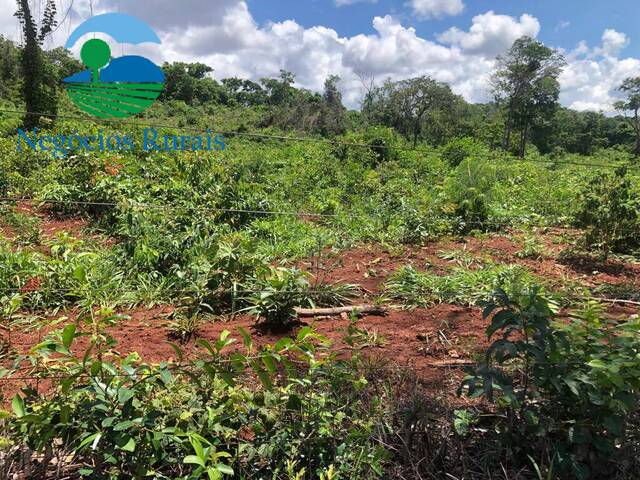 #118 - Fazenda para Venda em Niquelândia - GO - 2