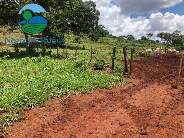 Fazenda para Venda em Niquelândia - 5