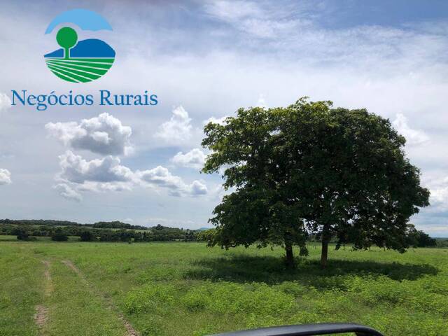 Fazenda para Venda em Crixás - 2