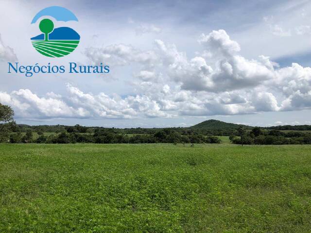 Venda em Zona rural - Crixás