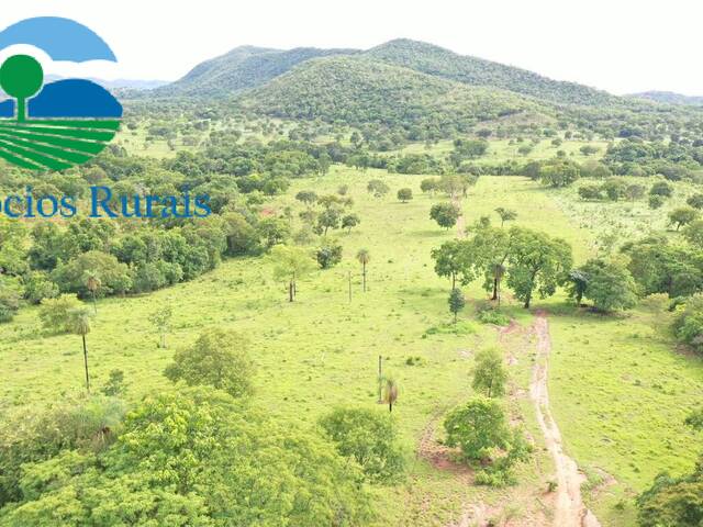 Venda em Zona rural - Formoso