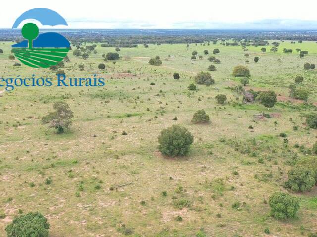 Fazenda para Venda em Novo Planalto - 1