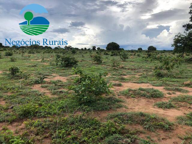 #119 - Fazenda para Venda em Novo Planalto - GO - 2