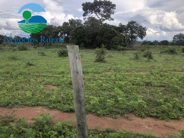 #119 - Fazenda para Venda em Novo Planalto - GO - 3