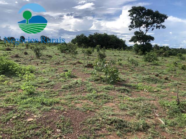 Fazenda para Venda em Novo Planalto - 4