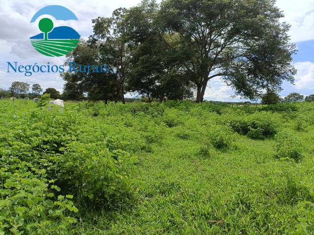 Fazenda para Venda em Novo Planalto - 5