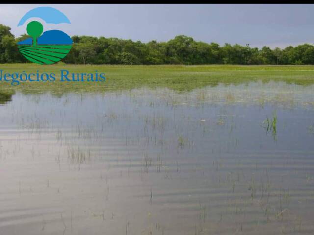 Fazenda para Venda em Formoso - 5