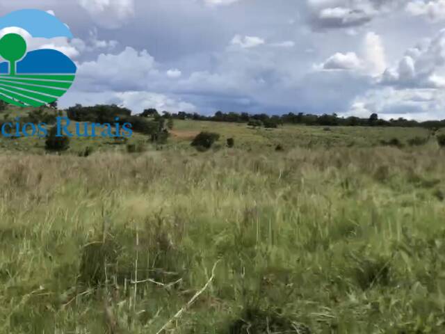 Fazenda para Venda em Mara Rosa - 2