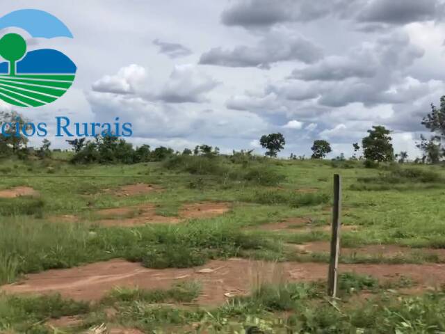 Fazenda para Venda em Mara Rosa - 3