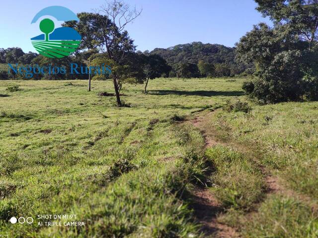 #125 - Fazenda para Venda em Uruaçu - GO - 3