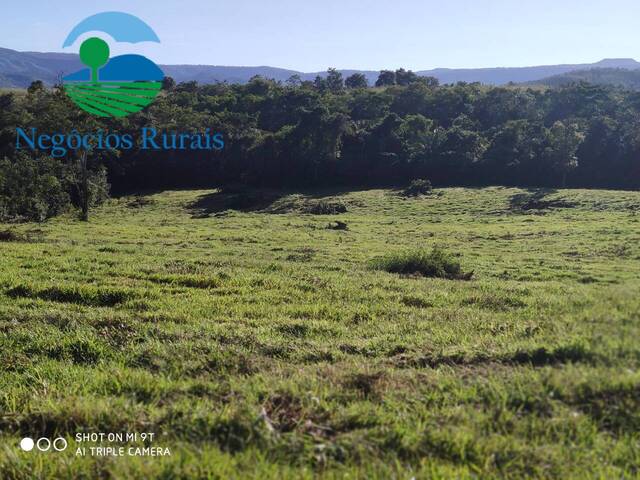 Fazenda para Venda em Uruaçu - 4