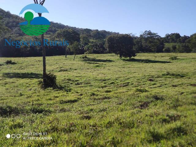 #125 - Fazenda para Venda em Uruaçu - GO - 1