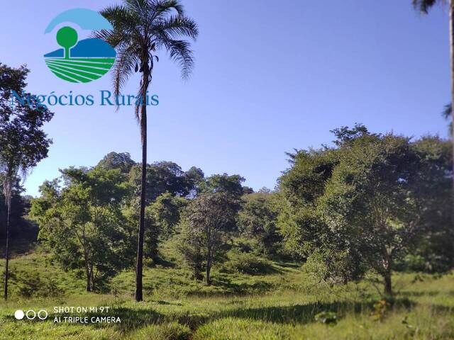 Fazenda para Venda em Uruaçu - 5