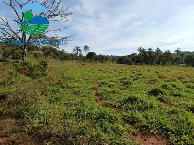 Fazenda para Venda em Campinaçu - 4