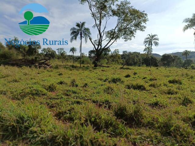 #124 - Fazenda para Venda em Campinaçu - GO - 3