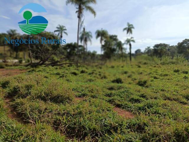 #124 - Fazenda para Venda em Campinaçu - GO - 1