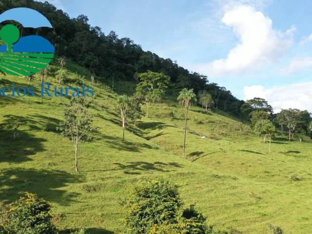 #124 - Fazenda para Venda em Campinaçu - GO - 2