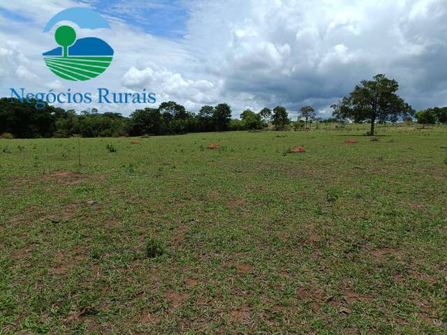 Fazenda para Venda em Itapuranga - 3