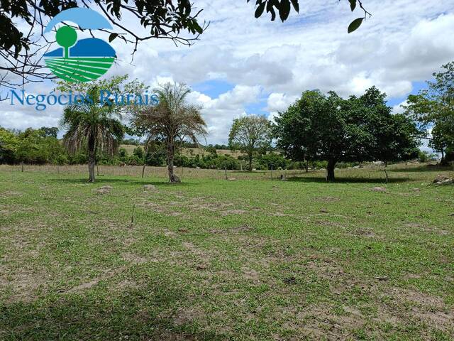 Fazenda para Venda em Itapuranga - 2