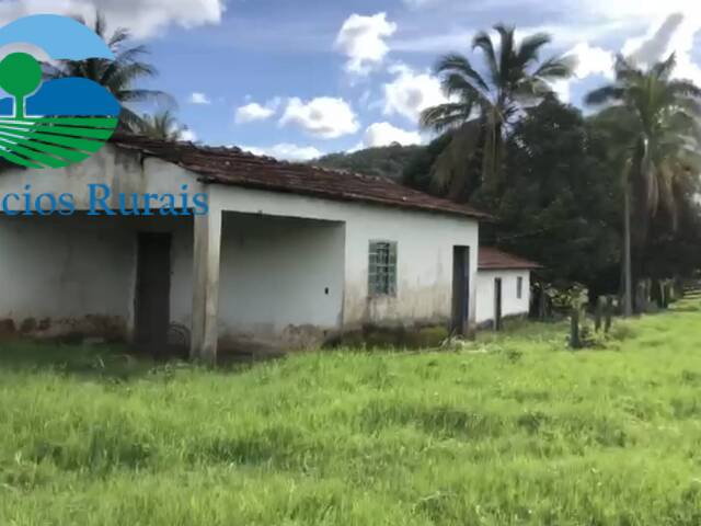 #127 - Fazenda para Venda em Nova Iguaçu de Goiás - GO