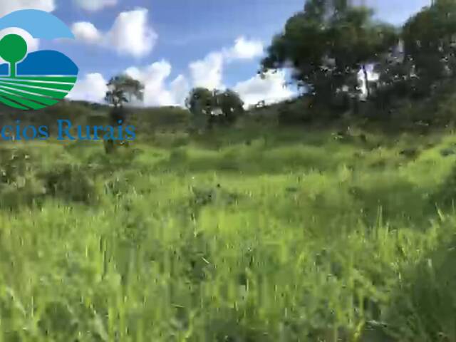 #127 - Fazenda para Venda em Nova Iguaçu de Goiás - GO - 2