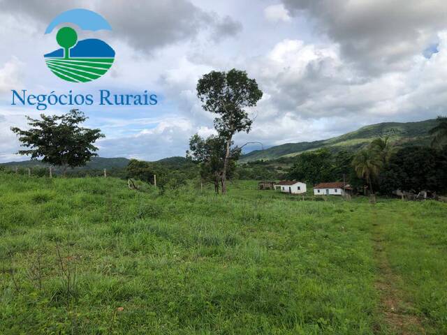 #127 - Fazenda para Venda em Nova Iguaçu de Goiás - GO - 1