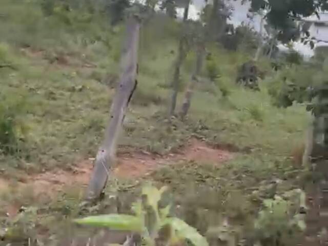 Fazenda para Venda em Uruaçu - 2