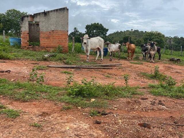 Fazenda para Venda em Uruaçu - 5