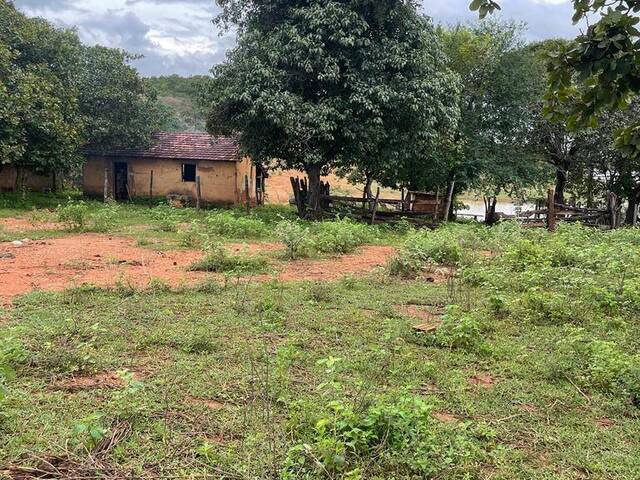 Fazenda para Venda em Uruaçu - 4