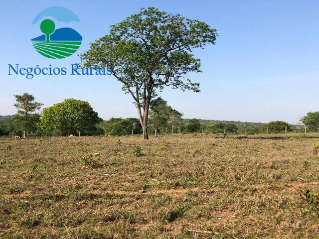 Fazenda para Venda em Mara Rosa - 4