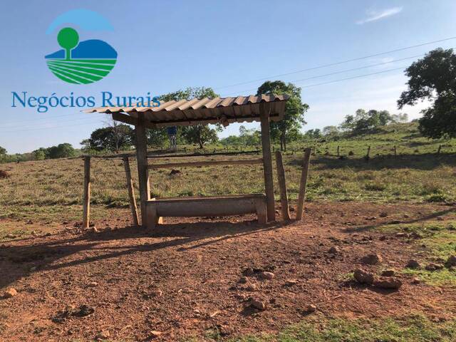 Fazenda para Venda em Mara Rosa - 5