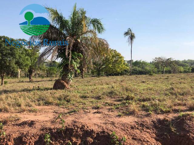 Fazenda para Venda em Mara Rosa - 2