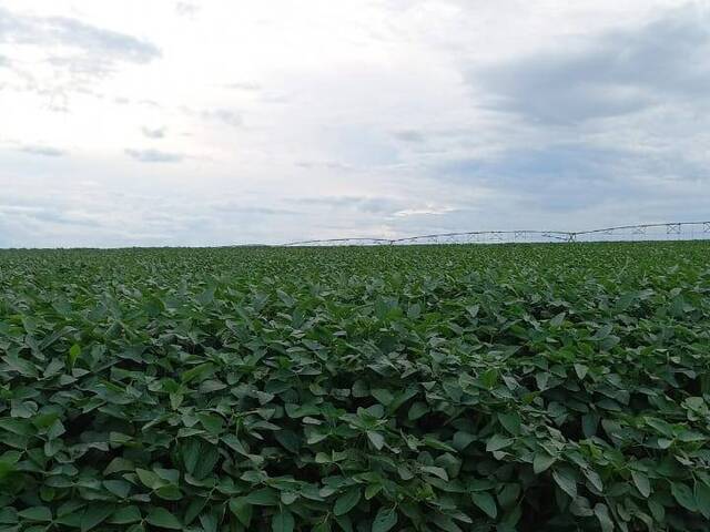 Fazenda para Venda em Goiânia - 1