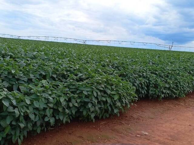 Fazenda para Venda em Goiânia - 4