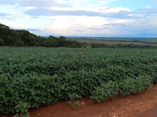 Fazenda para Venda em Goiânia - 5