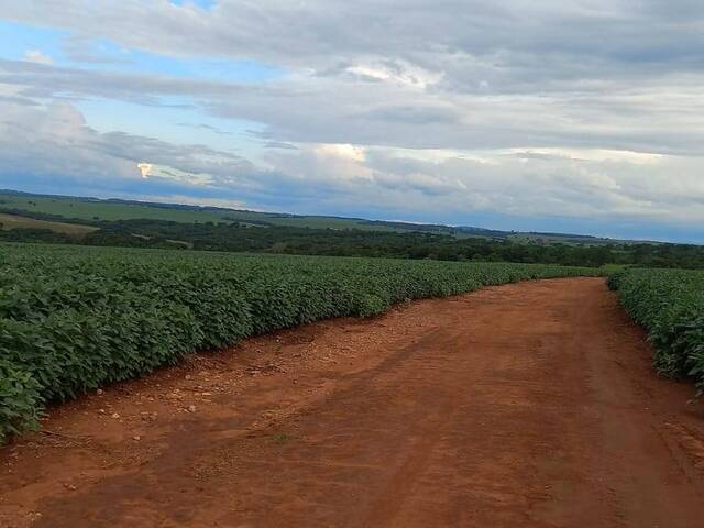 Fazenda para Venda em Goiânia - 2