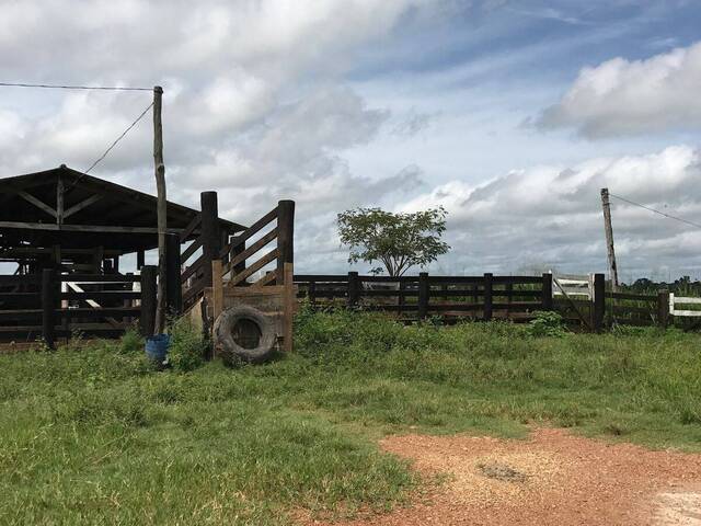 Fazenda para Venda em Marabá - 4