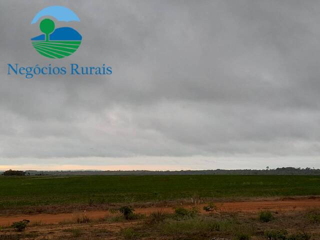 Fazenda para Venda em Palmeirante - 3