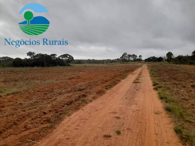 Fazenda para Venda em Palmeirante - 4