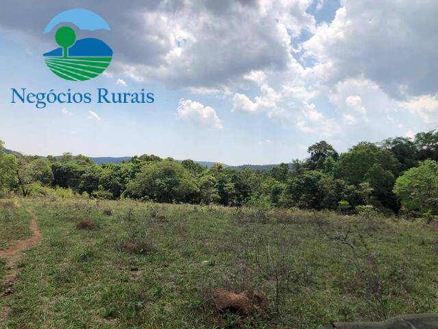 Fazenda para Venda em Uruaçu - 2