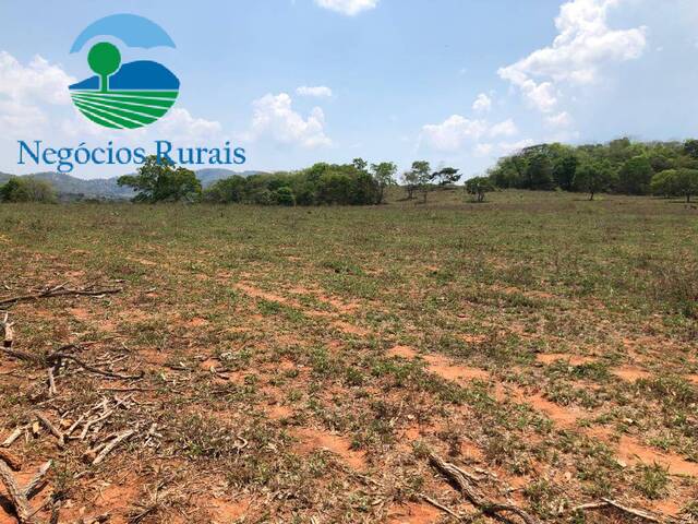 Fazenda para Venda em Uruaçu - 5