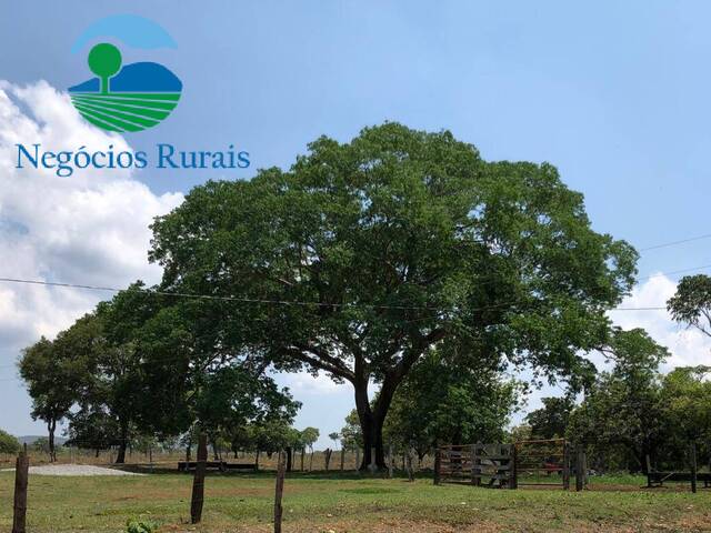 Fazenda para Venda em Uruaçu - 1