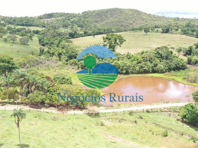 #136 - Fazenda para Venda em Bela Vista de Goiás - GO - 2