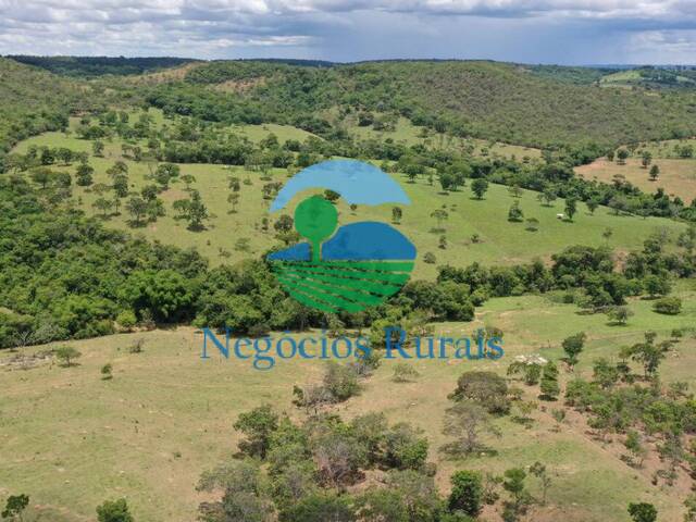 Fazenda para Venda em Bela Vista de Goiás - 1