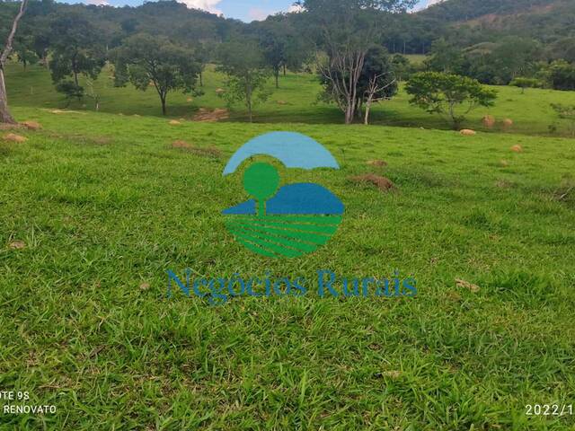 #136 - Fazenda para Venda em Bela Vista de Goiás - GO - 3