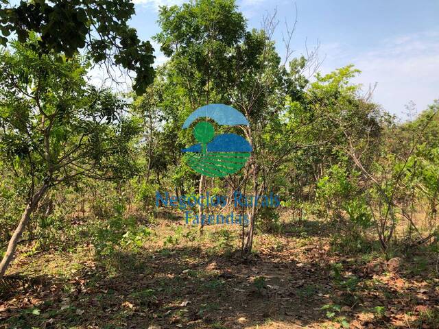 Fazenda para Venda em Uruaçu - 4