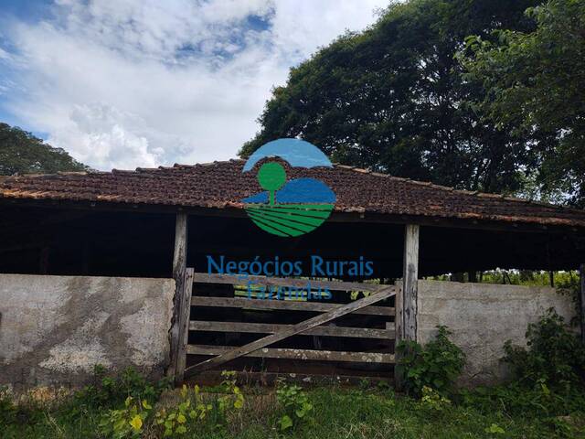 Fazenda para Venda em Formiga - 4