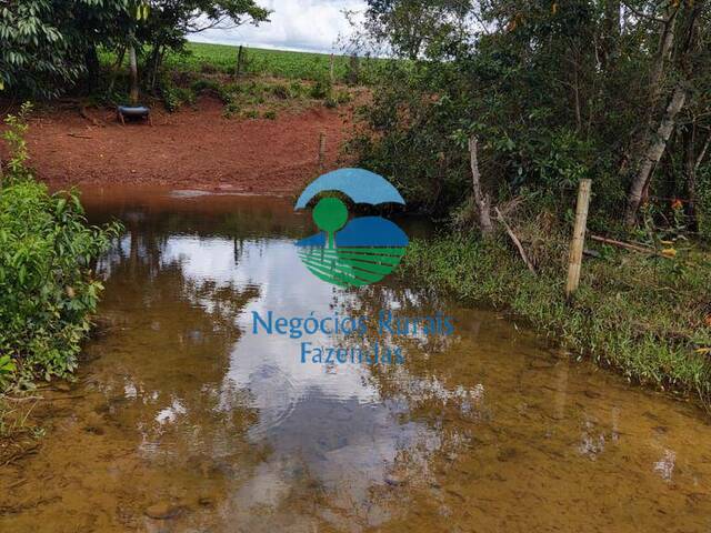 Fazenda para Venda em Formiga - 2