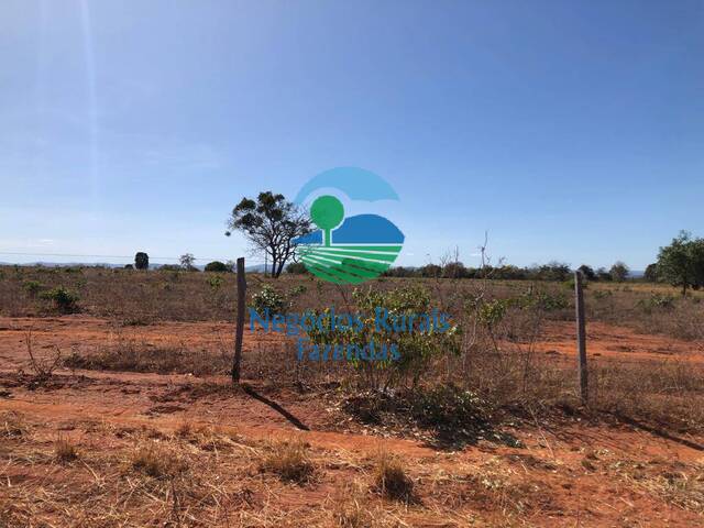#140 - Fazenda para Venda em Palmeirópolis - TO - 3